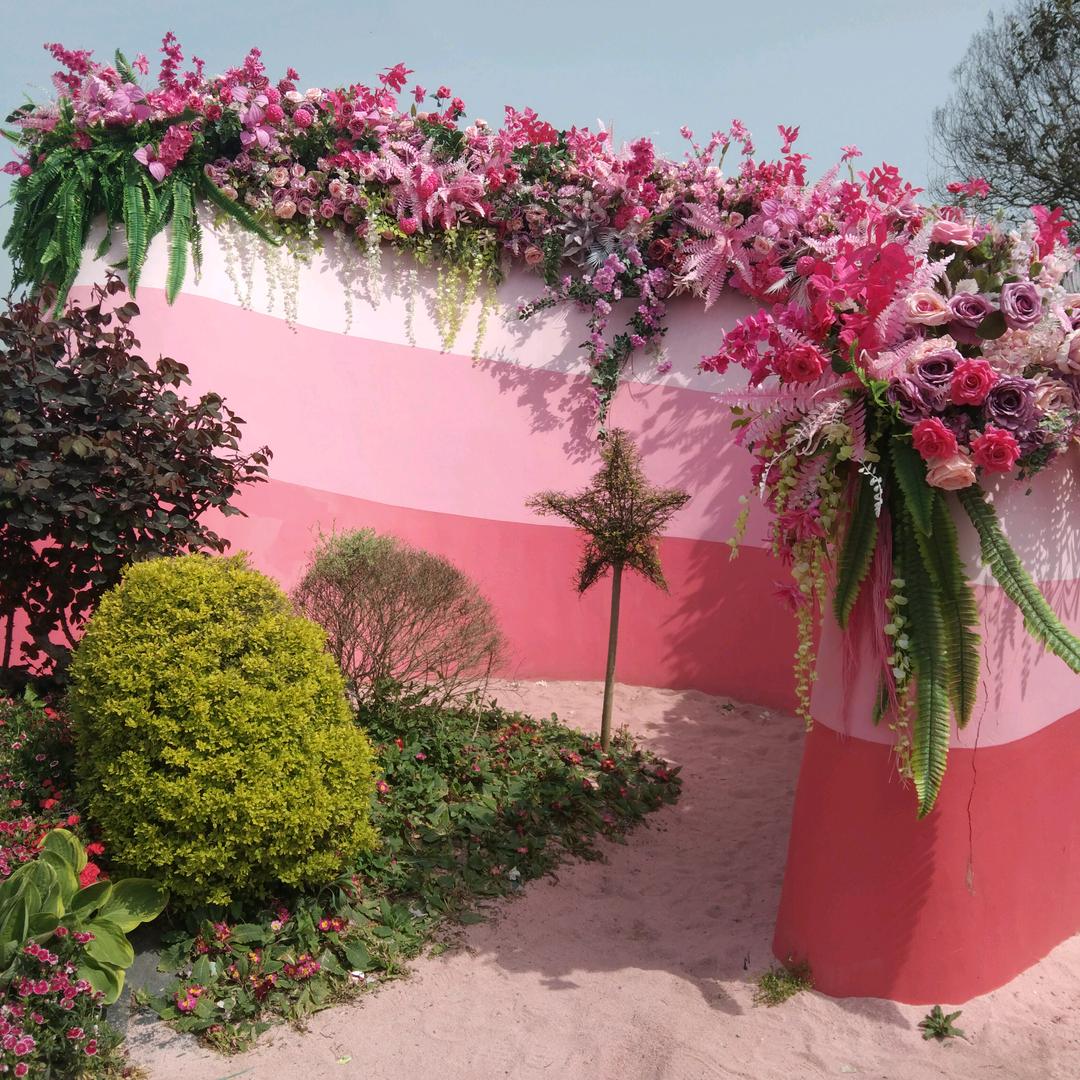 芹芹(首播第一天)
