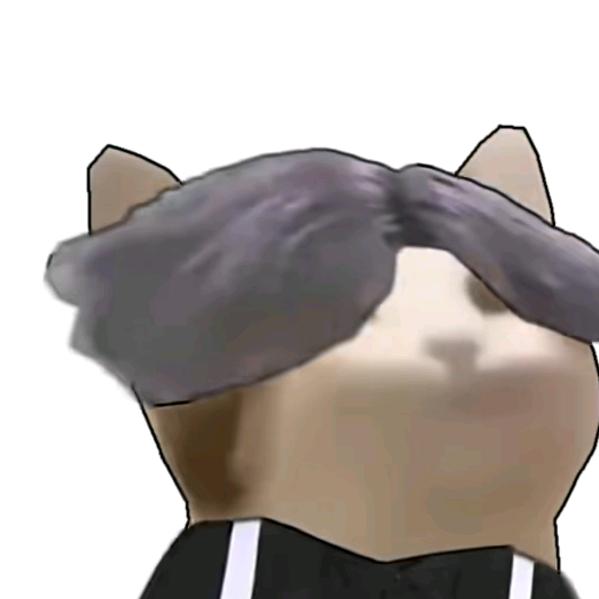 新哥（与你同行）