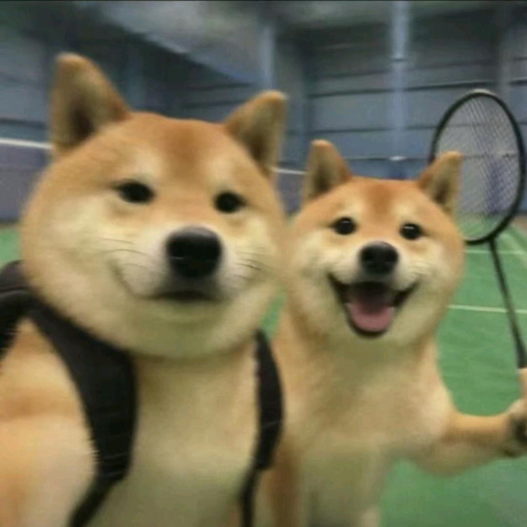 丁宁去打球