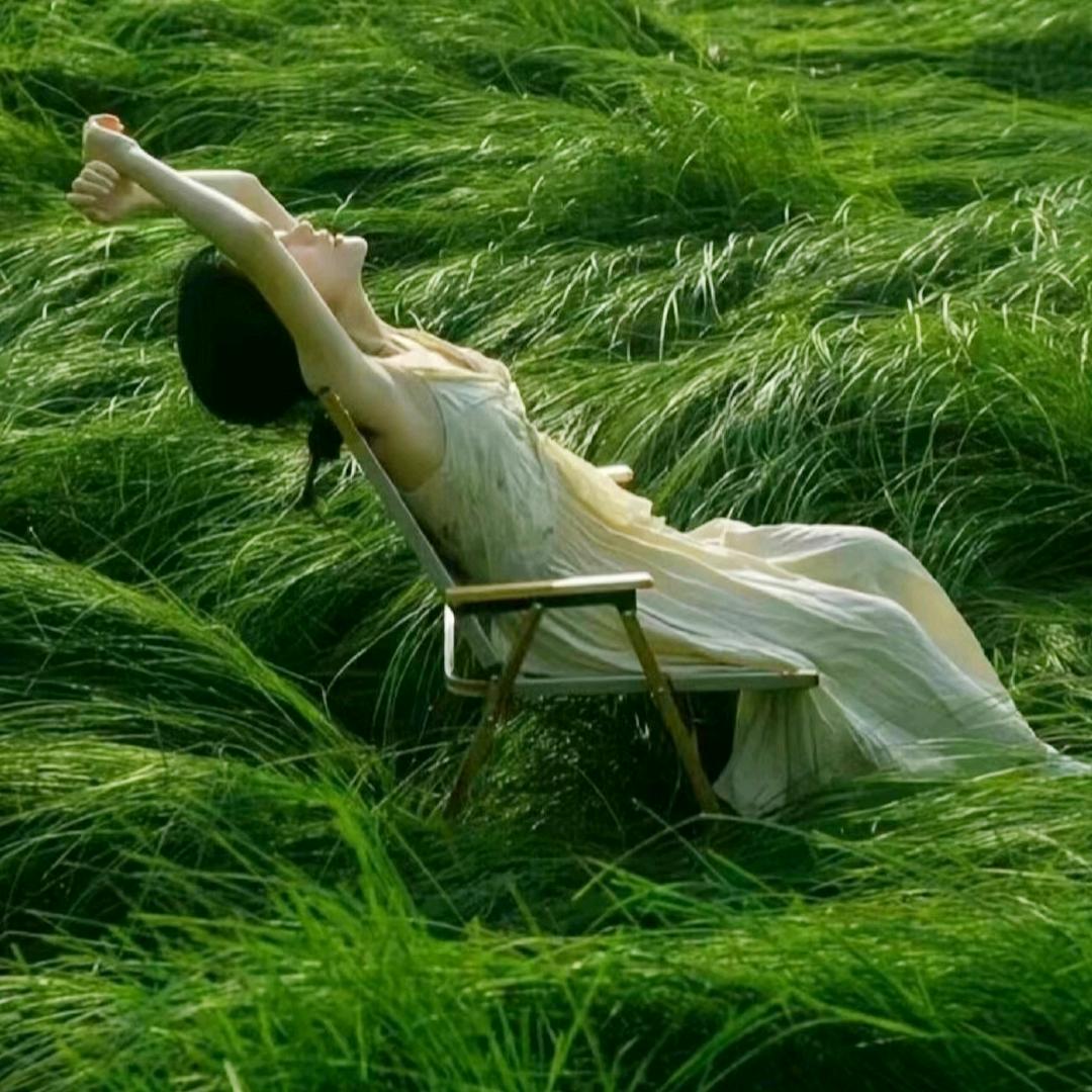 悄悄发财