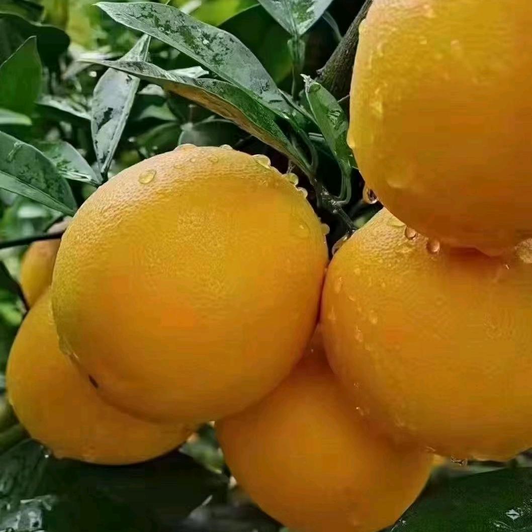 生活不易.且行且珍惜🌲🌲