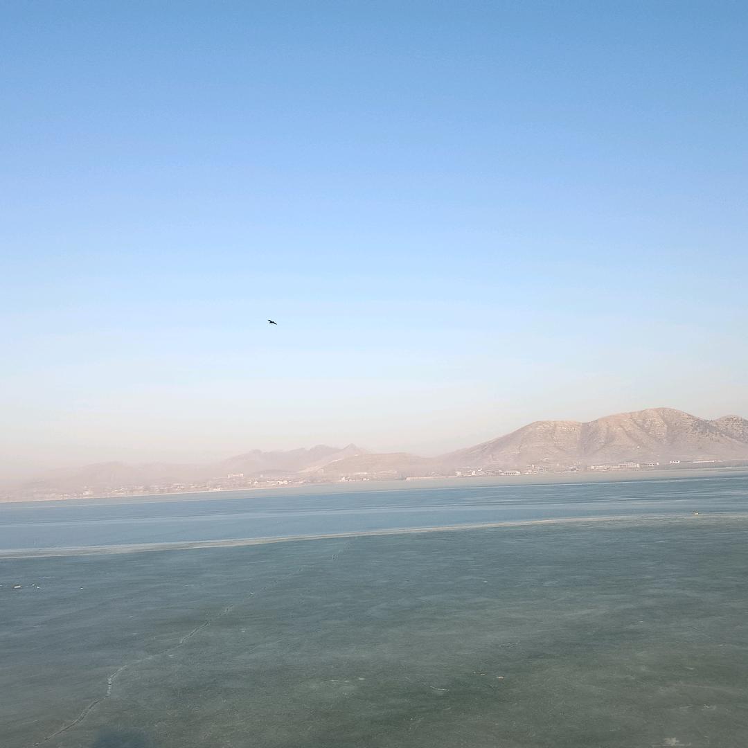 努力奋斗