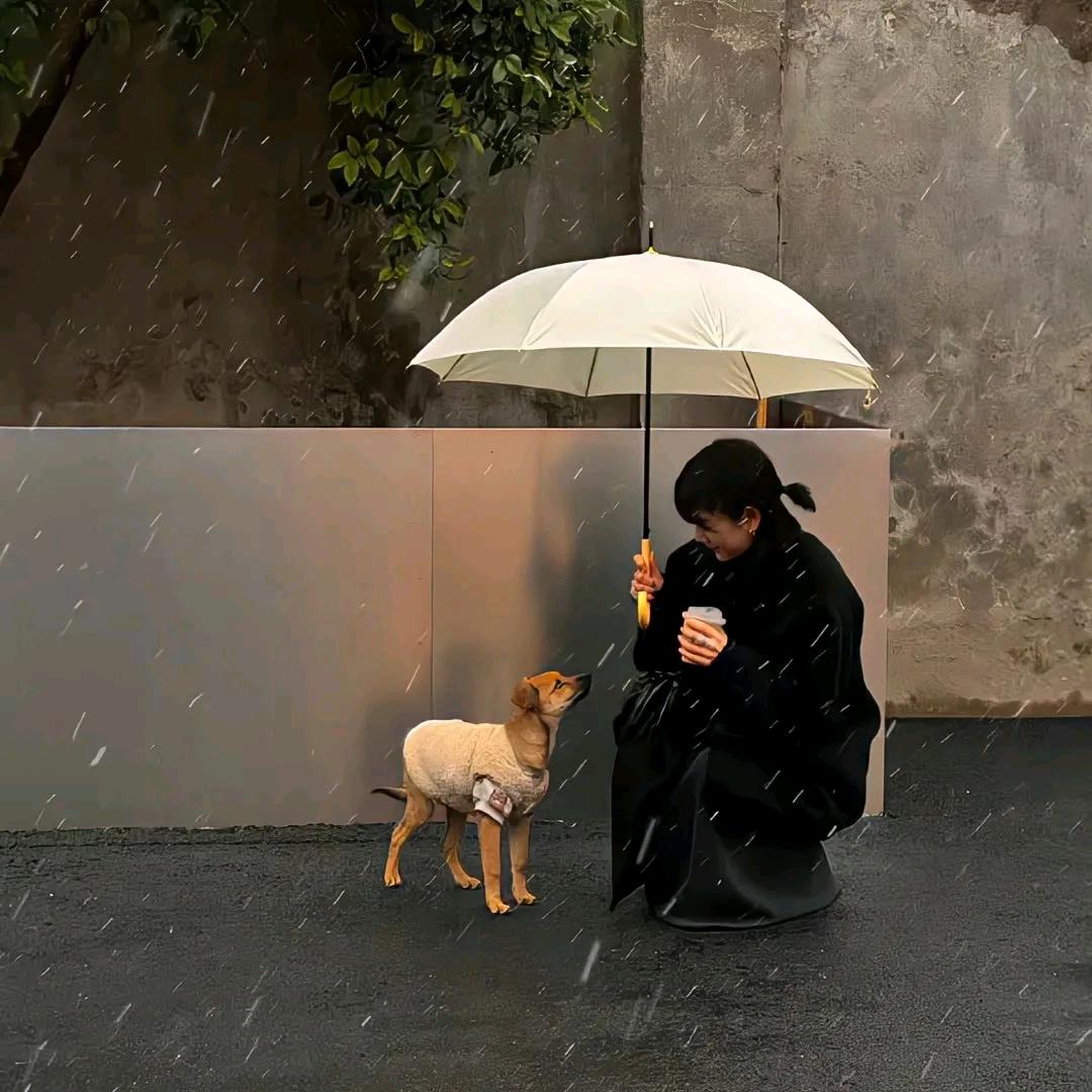 狗蛋丝•ʚ•