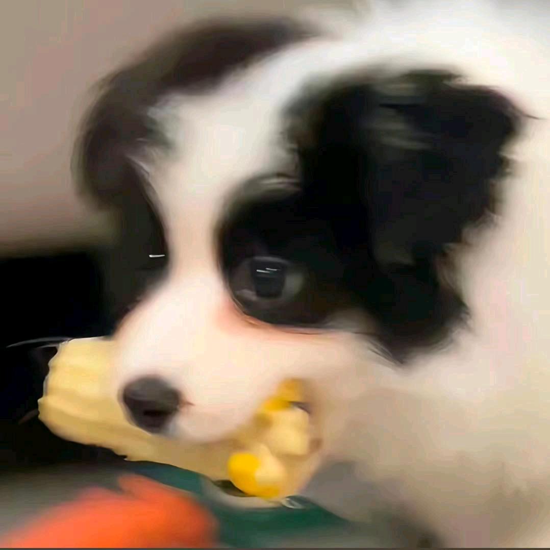 问号在游走