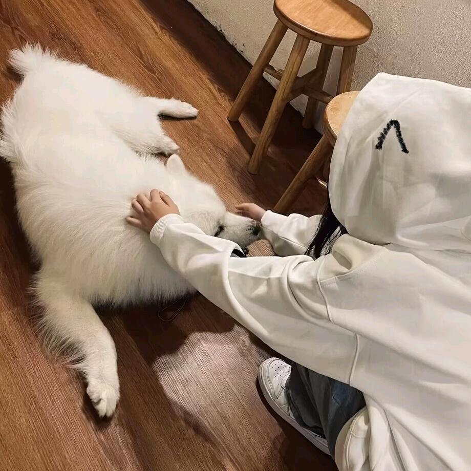 💤💨