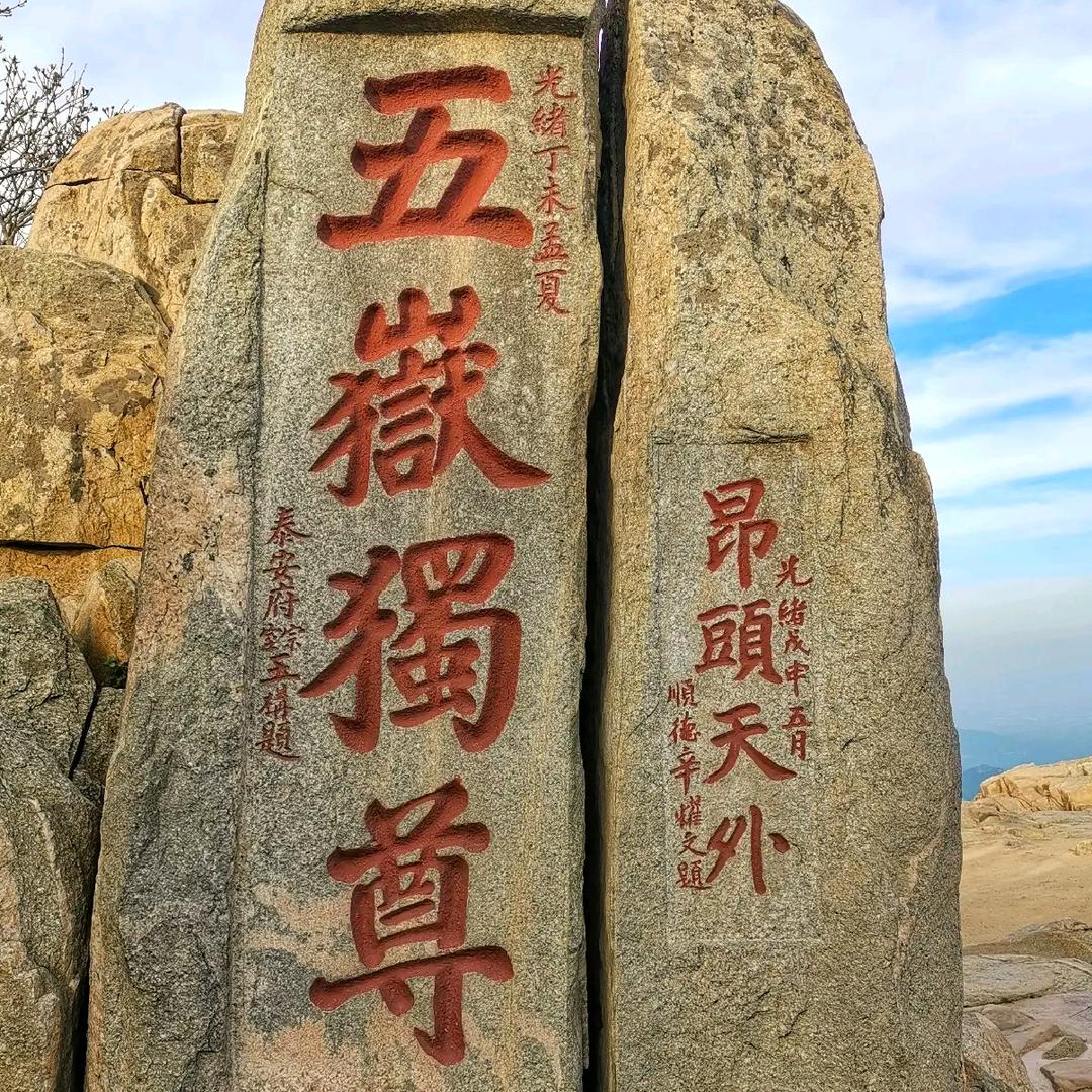 沃森羊绒