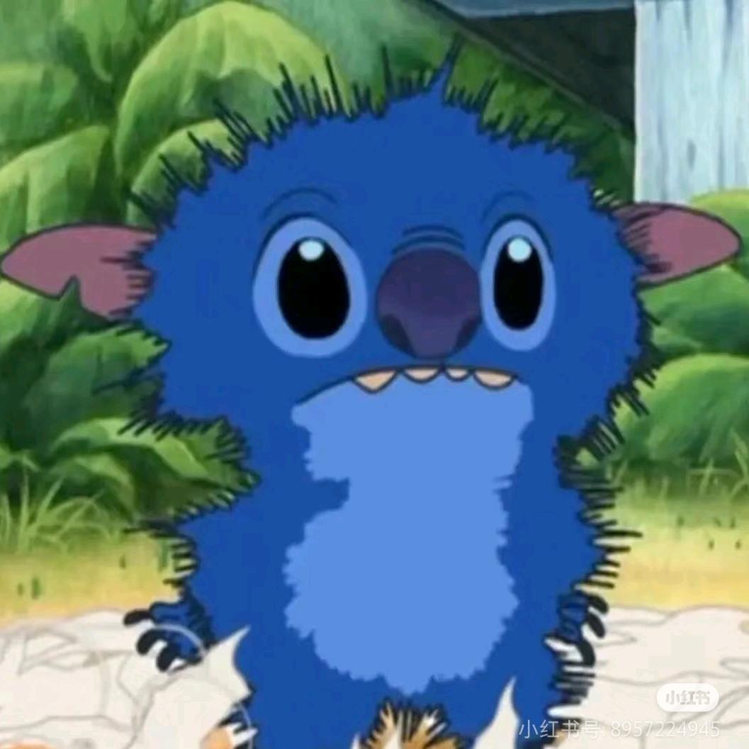 🌈今天喝杨阔落了吗？🌈🐯⭐