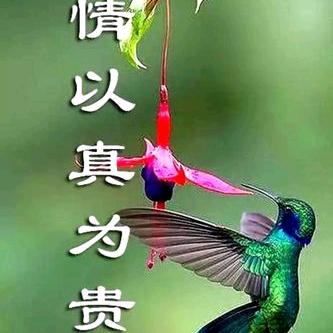 遇你有緣