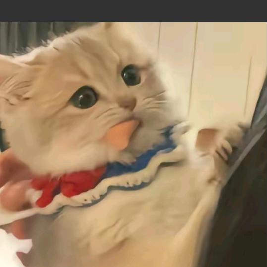 @梅子，