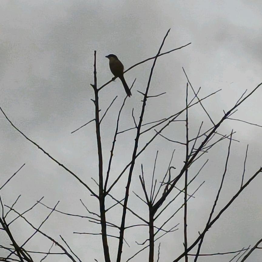 👨🏼👩🏼平平安安👧🏼👦