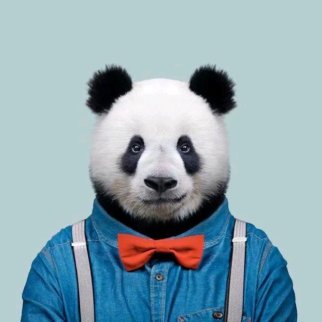 来一罐冰镇阔洛