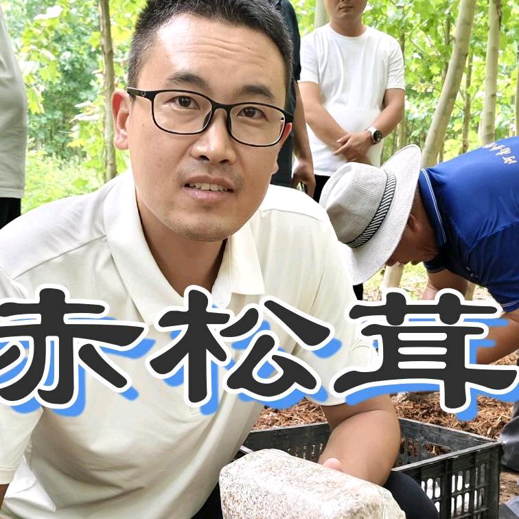 蘑菇小张—华驿农业
