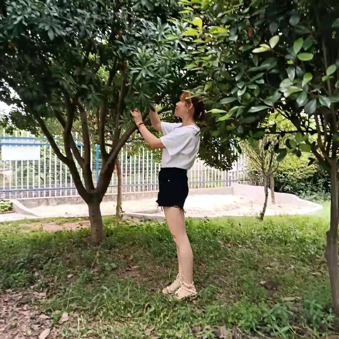 梦薇