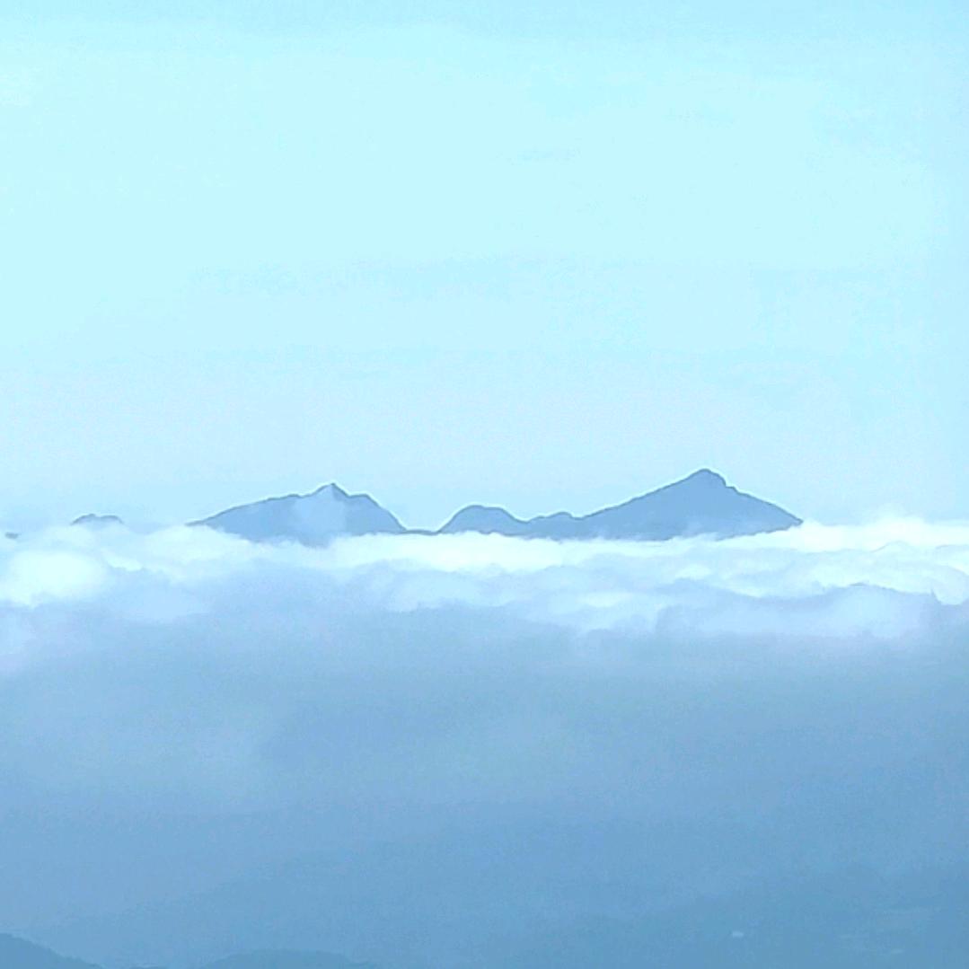 睡不着的泡泡糖：💤