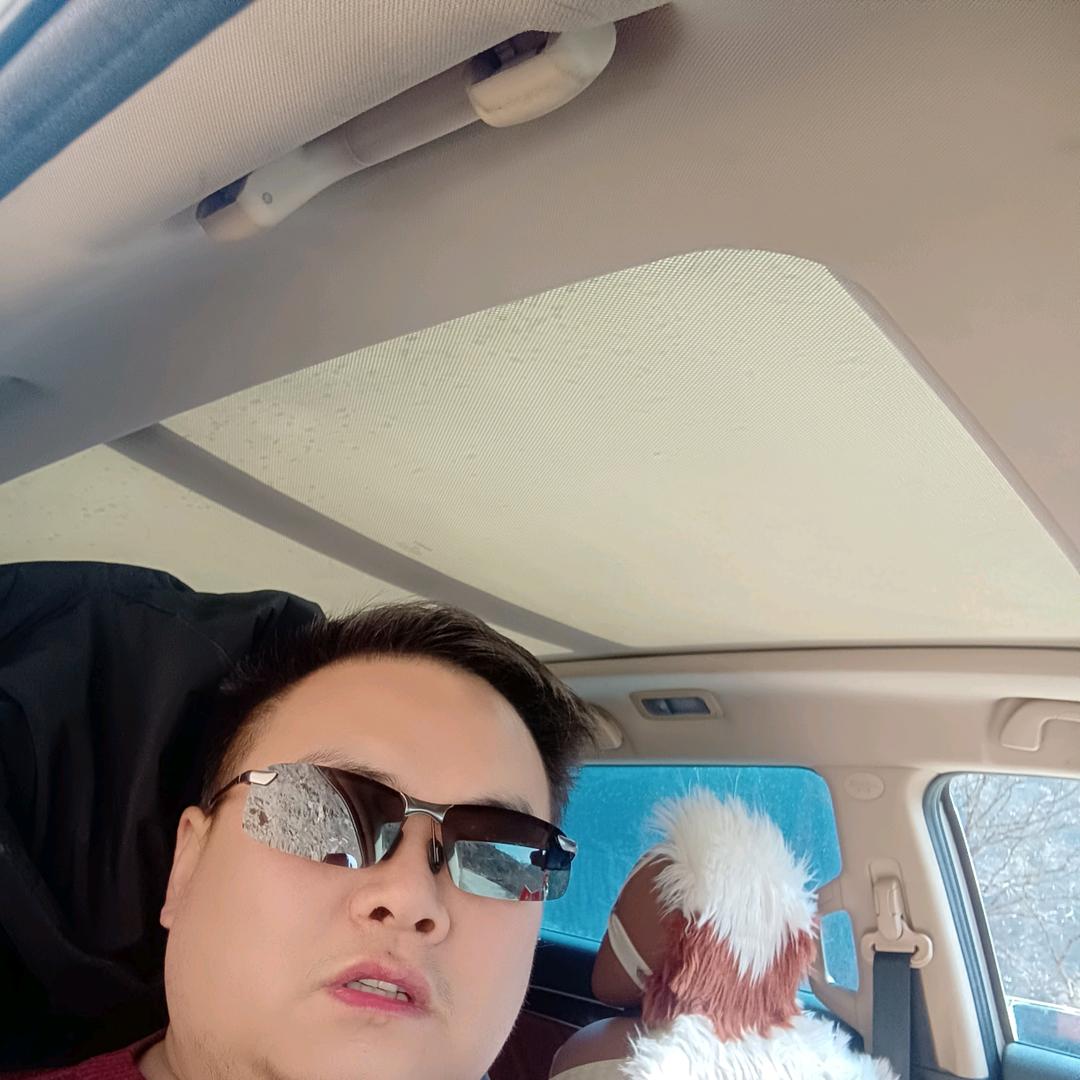 西北一匹狼