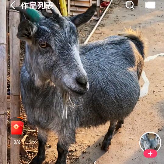 信农养殖技术服务中心