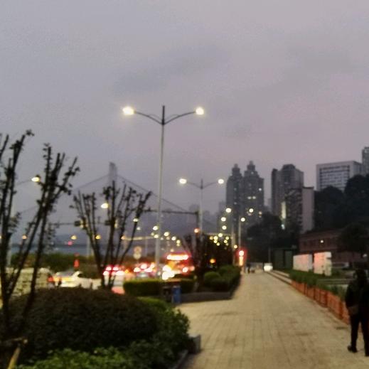 普  提