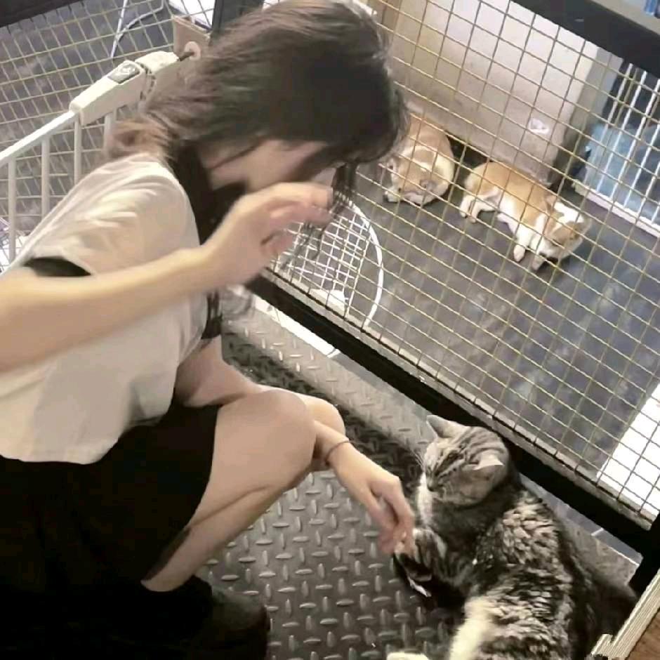李 崽 崽-