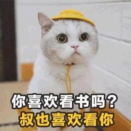 书的记忆