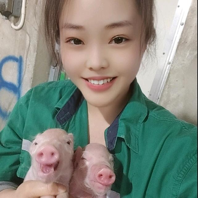 猪🐷侠