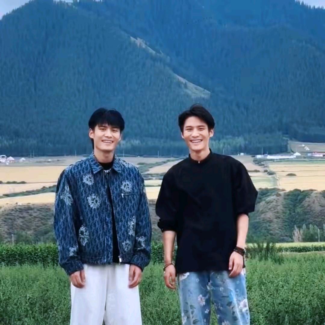 疯狂大小杨羊（三只羊）