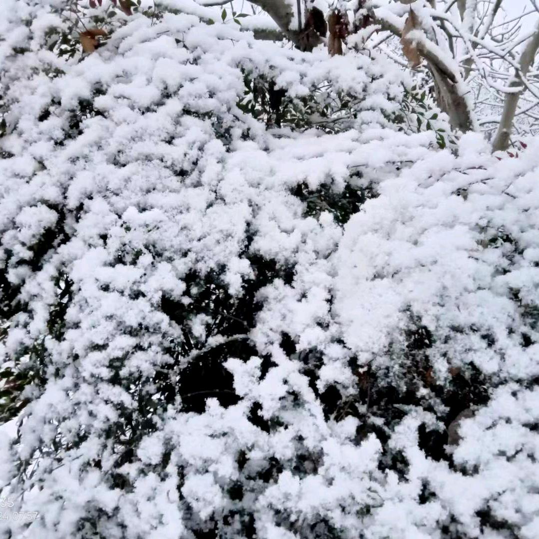 平平淡淡的生活