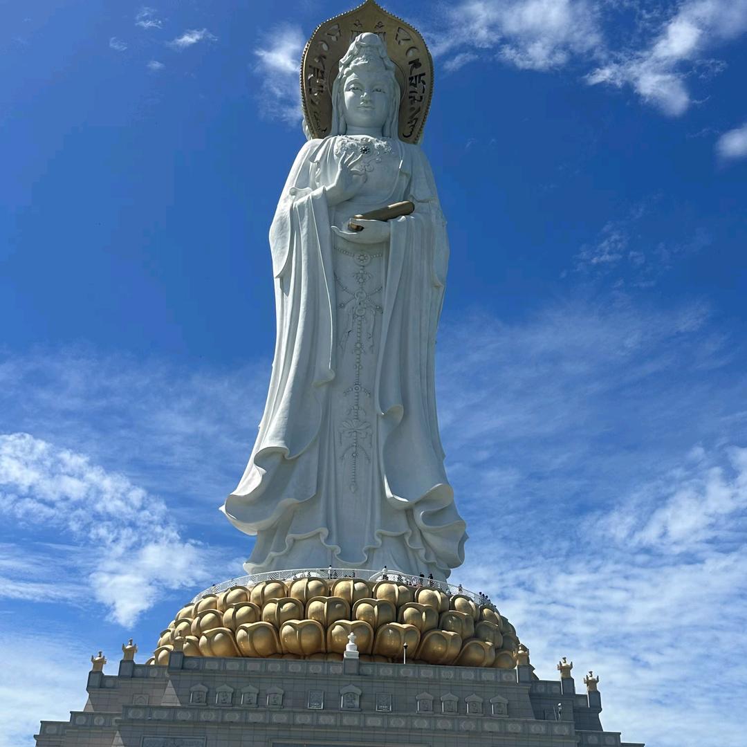 梦的方向叫闯