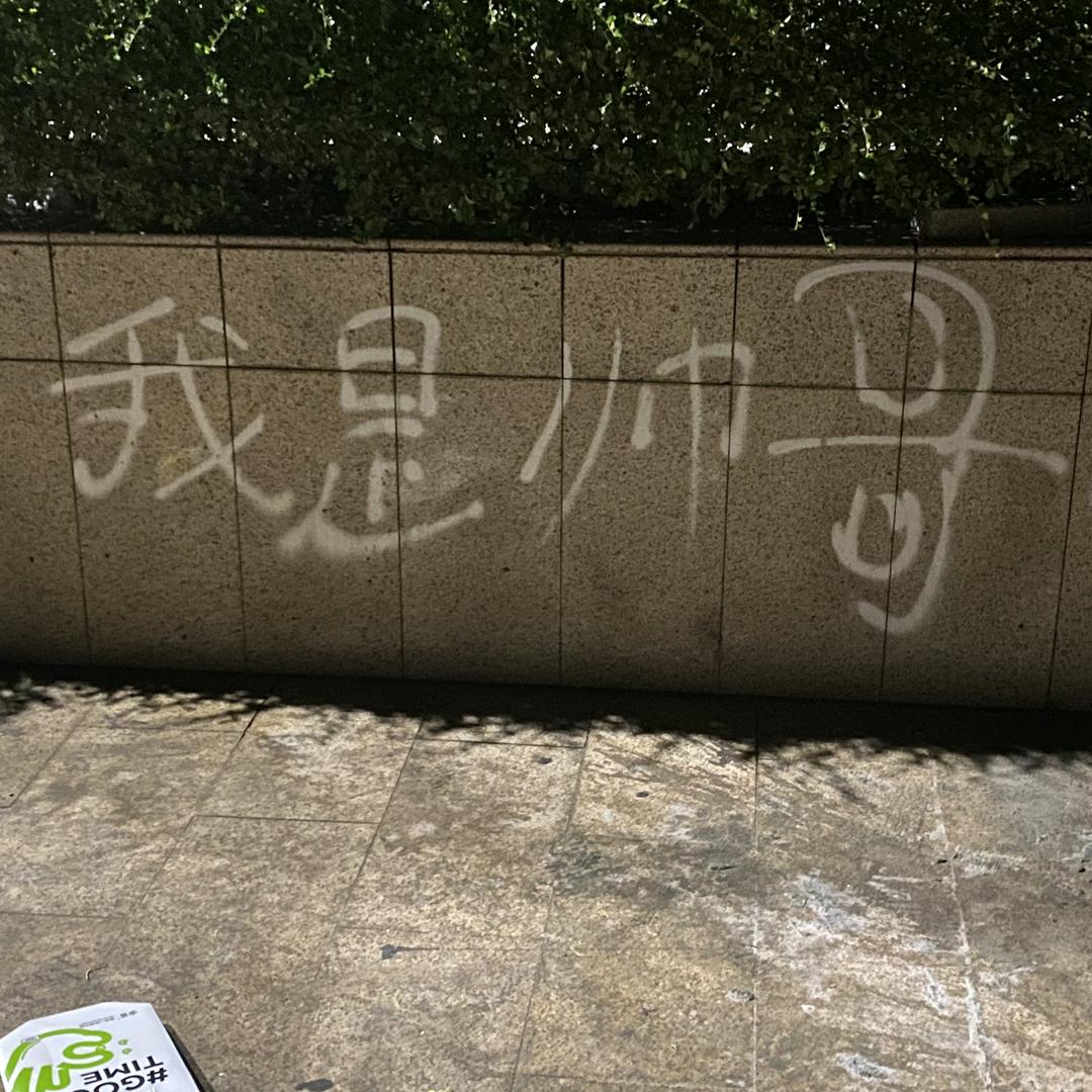 别搭理鲨臂每天就开心了