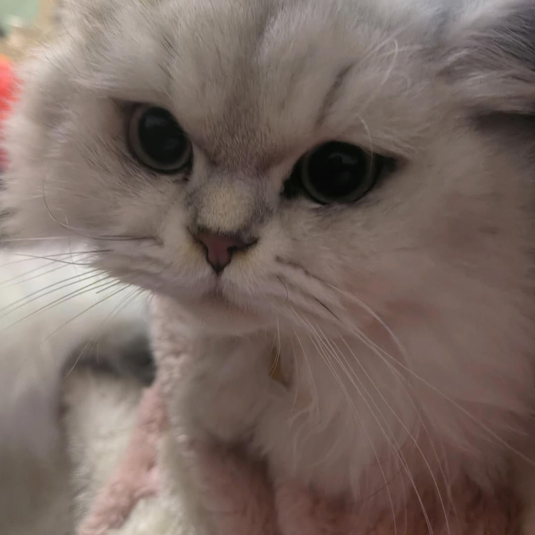 晚安