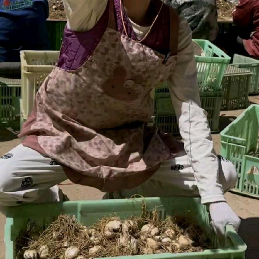 辣椒大王《罗老四》