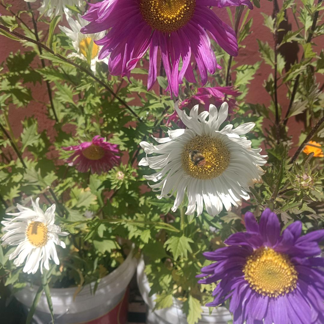 正在努力中…………