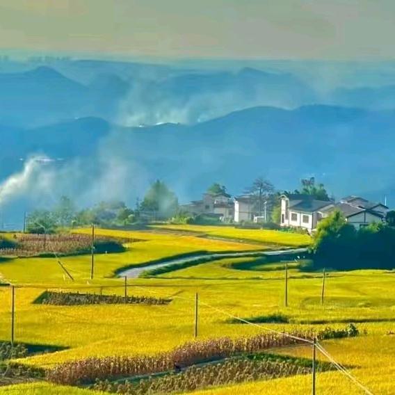 阳光