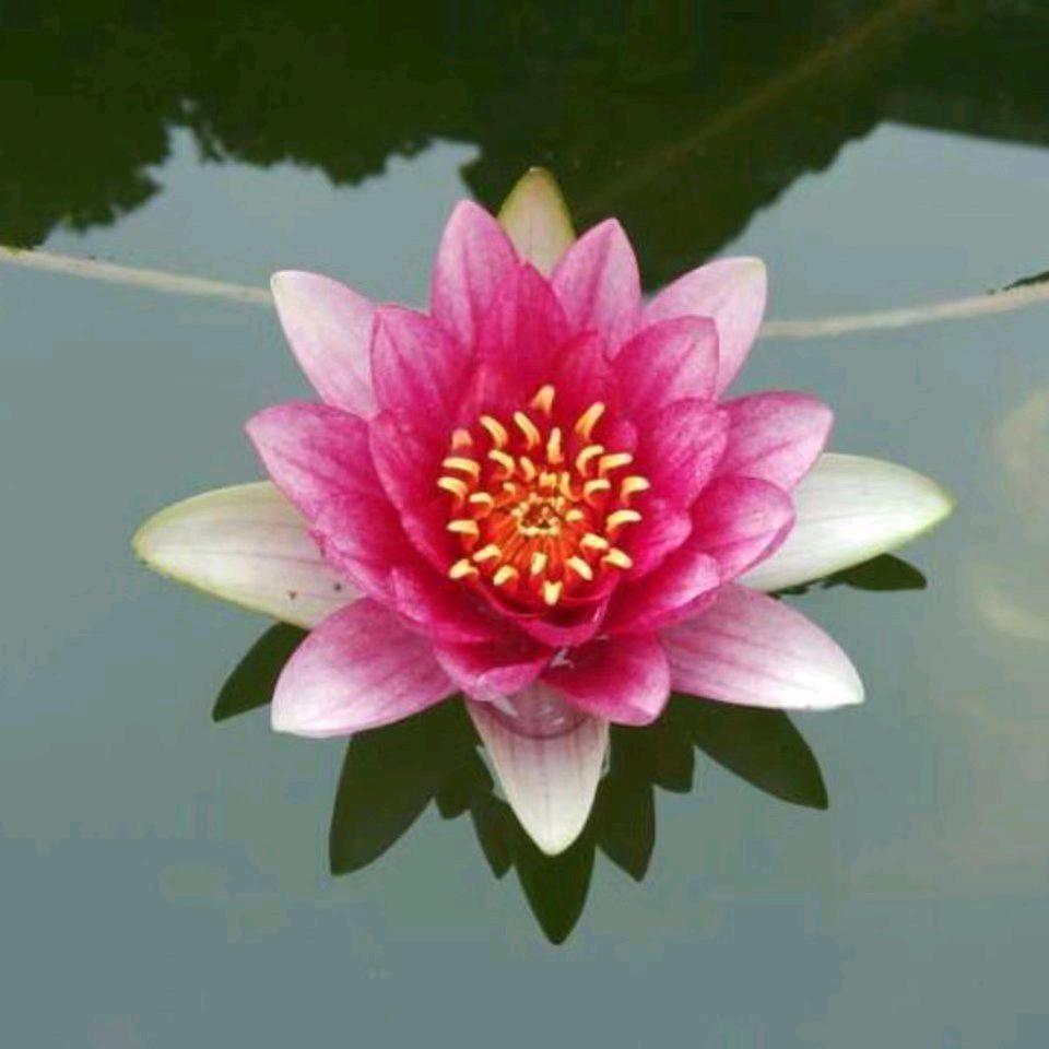 曹可爱数播🪷0078