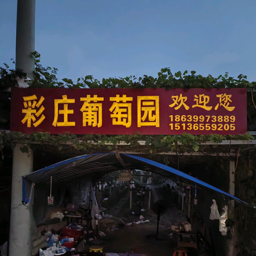 彩庄葡萄园