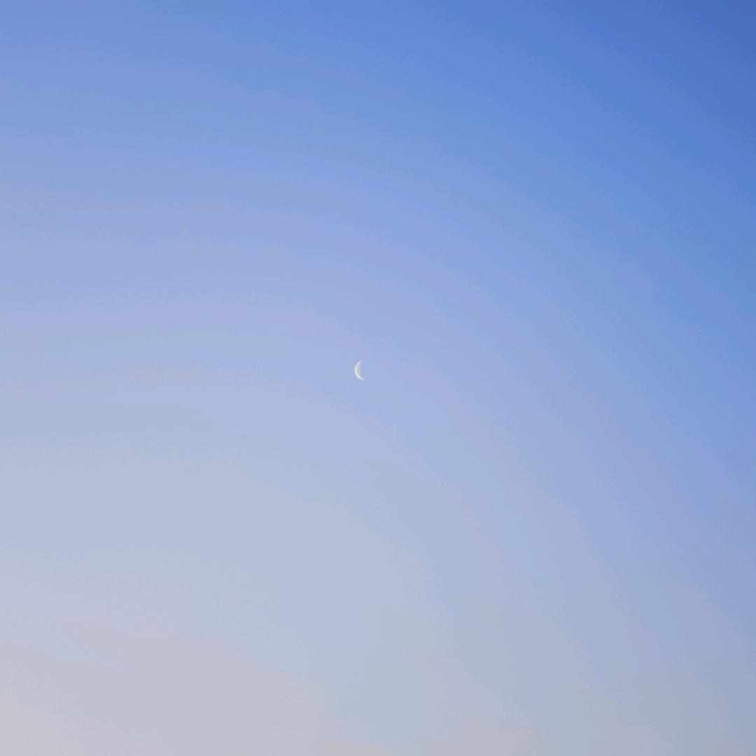 雪花落在小路上