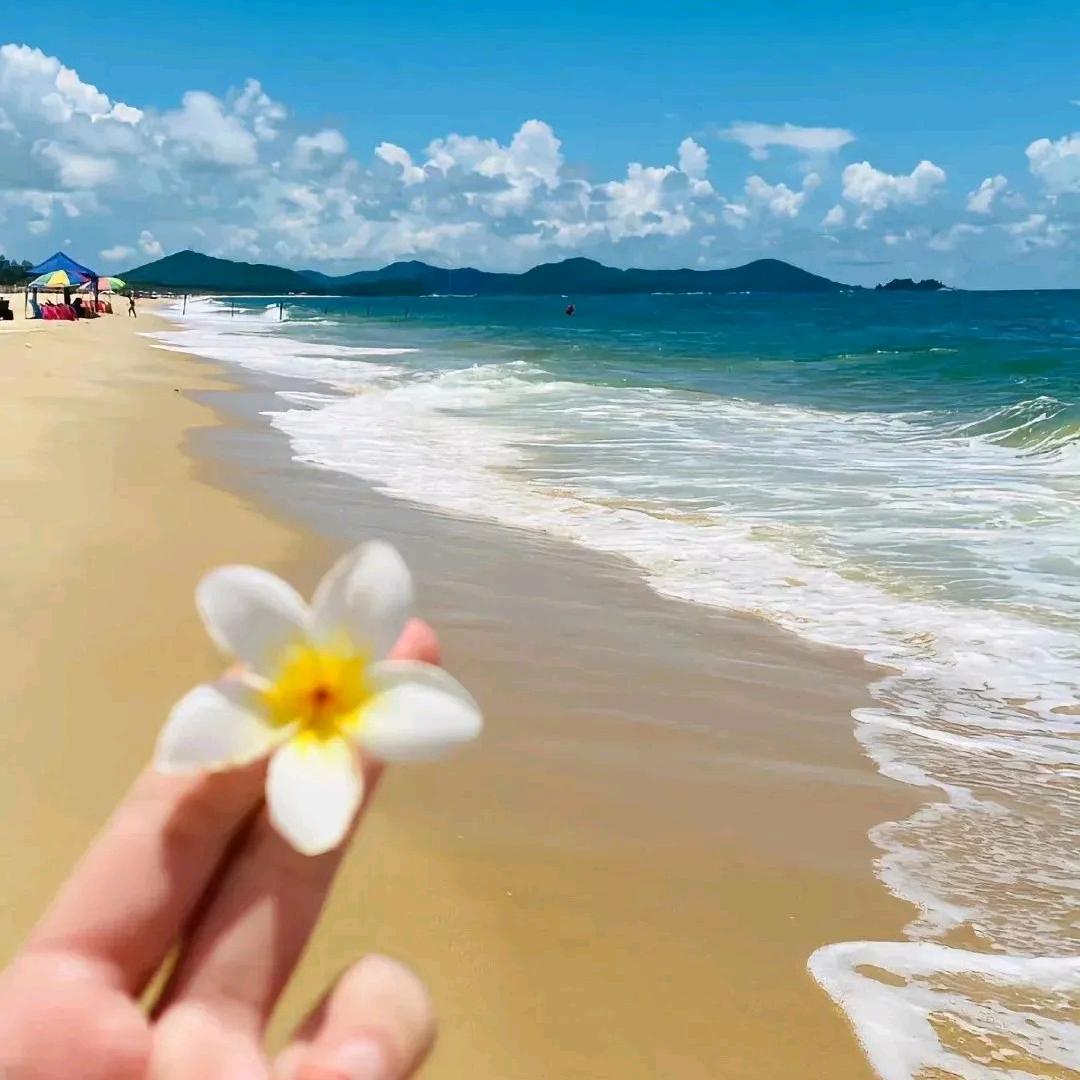 晨曦