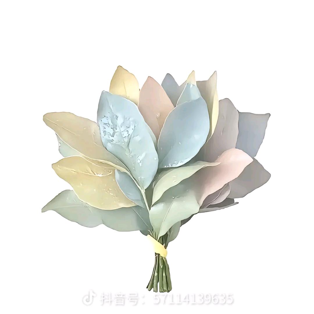 红玫瑰🌹🌹🌹