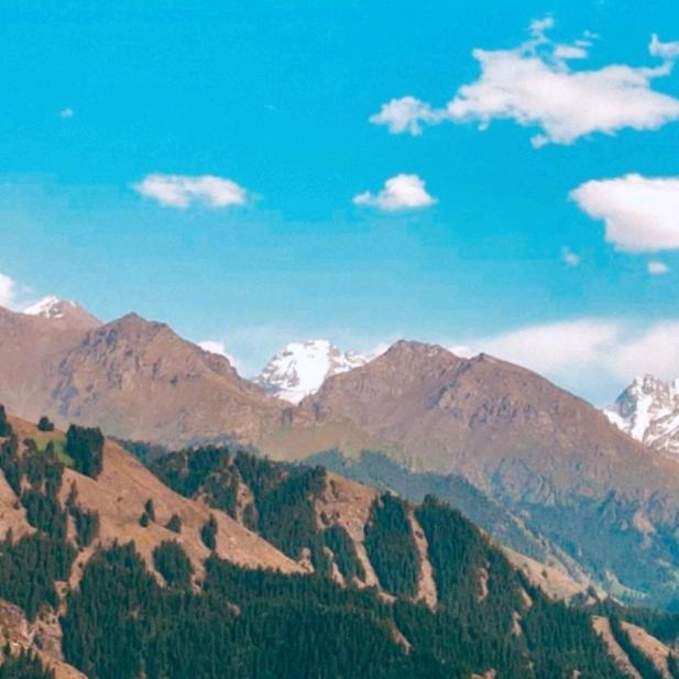 吃水不忘挖井人