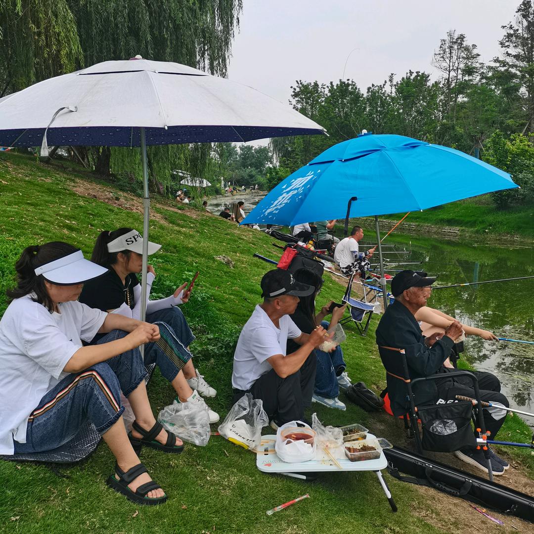波波鱼乐