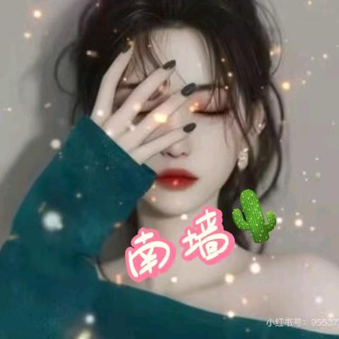 南墙🌵