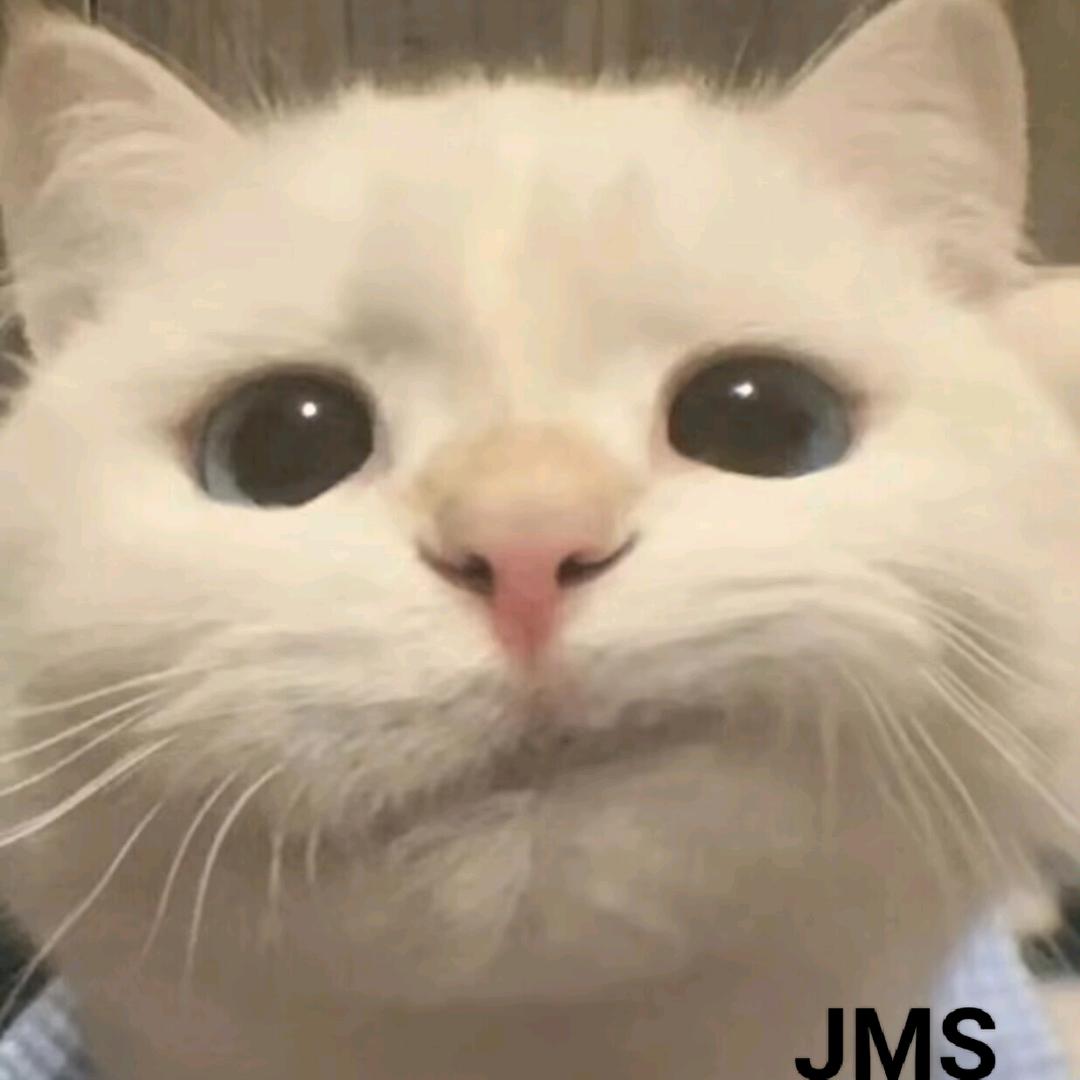 芥末蟀—JMS