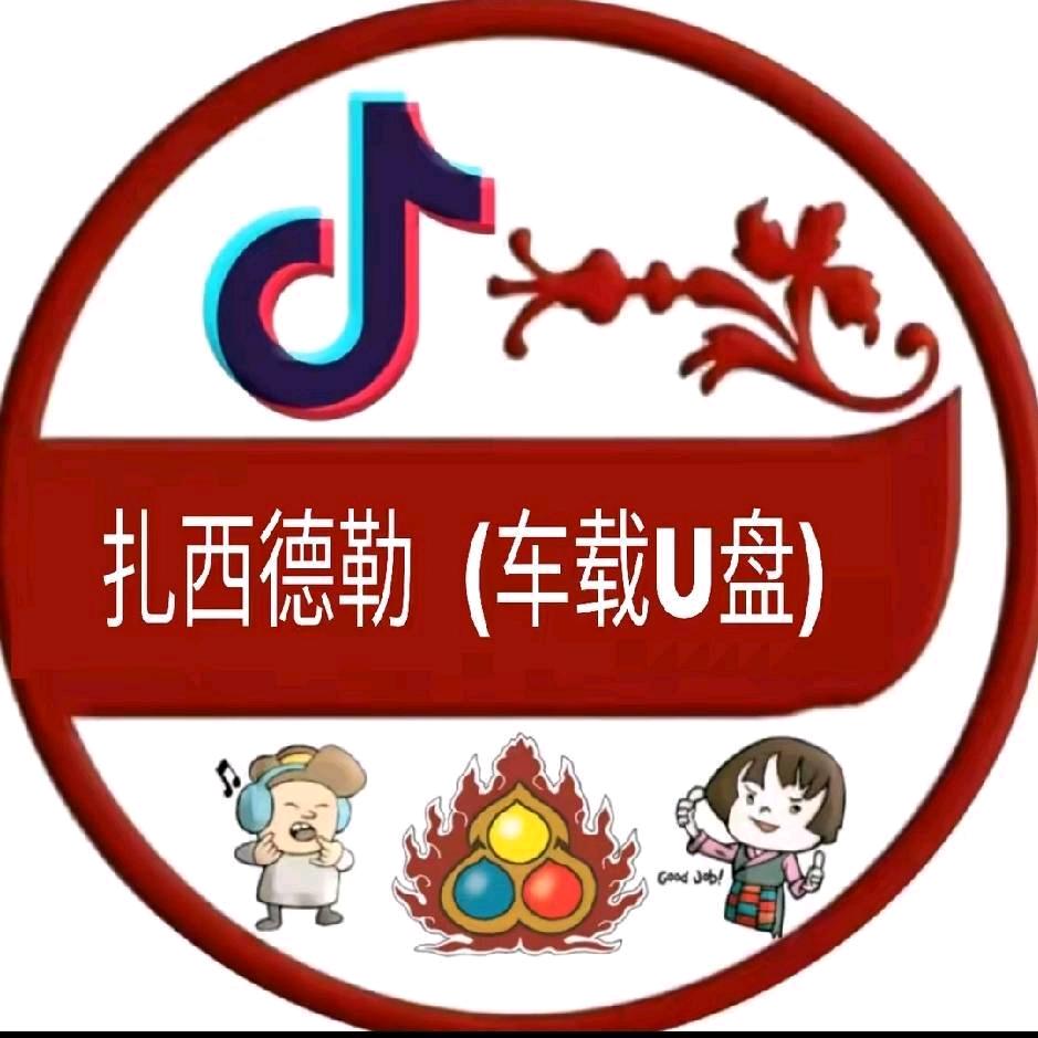 𓄂扎西德勒𓆃    𓁆车装U盘𓁙