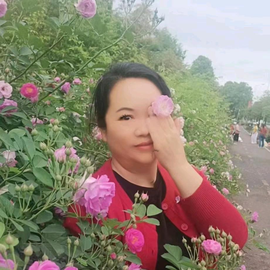 青阿姨