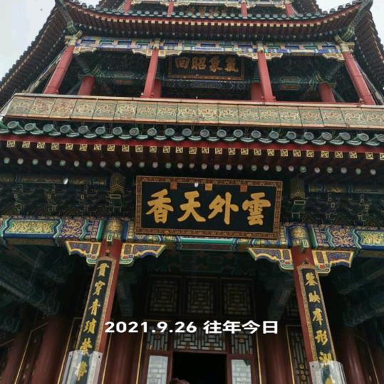 陈林