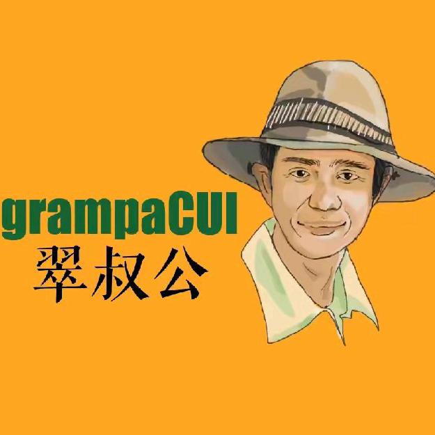 翠叔公5D乡下菜超市