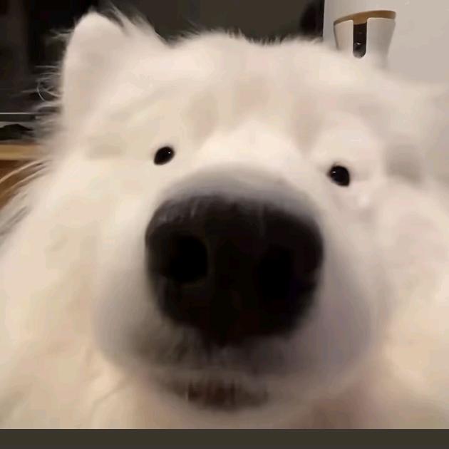 尿得高只为遮住眼角的泪水