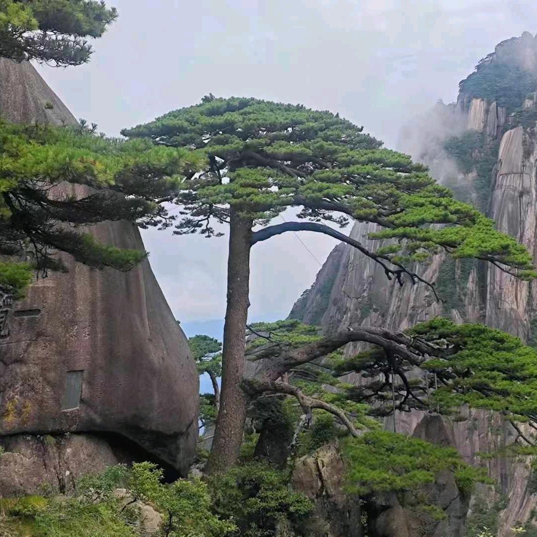 冰～冷