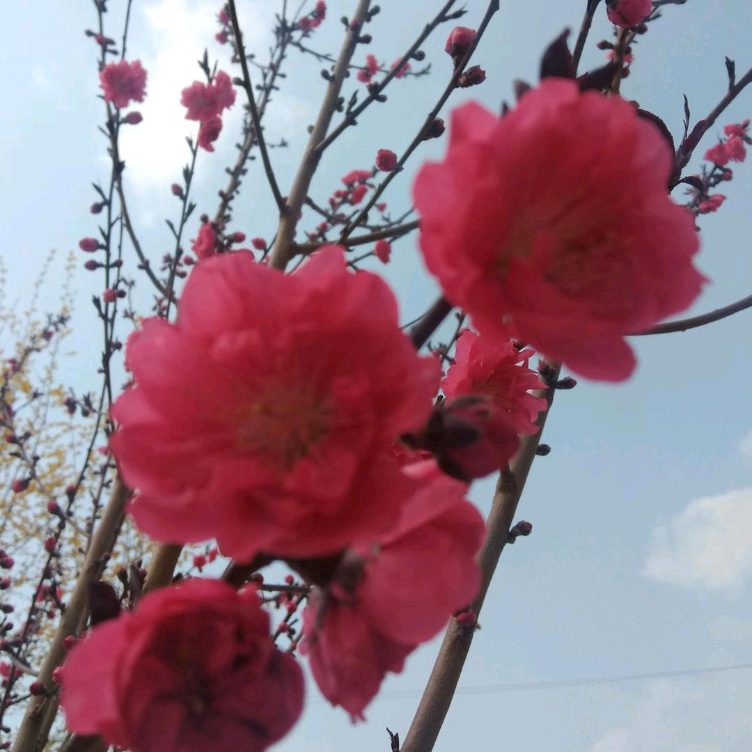 幸福之家，《拒绝私聊》