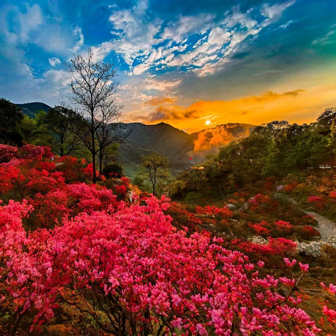 农夫花园