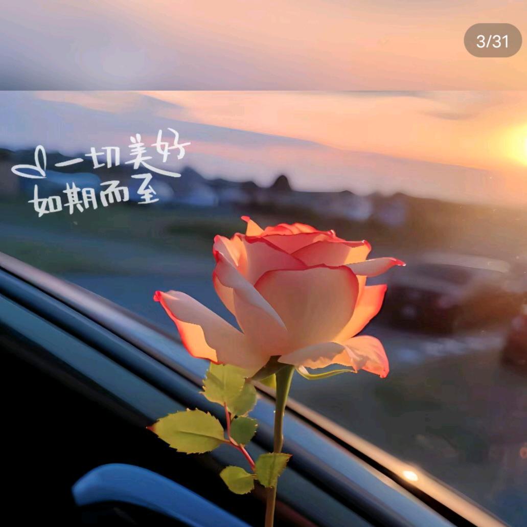 এ᭄ۣۖღ白🍀